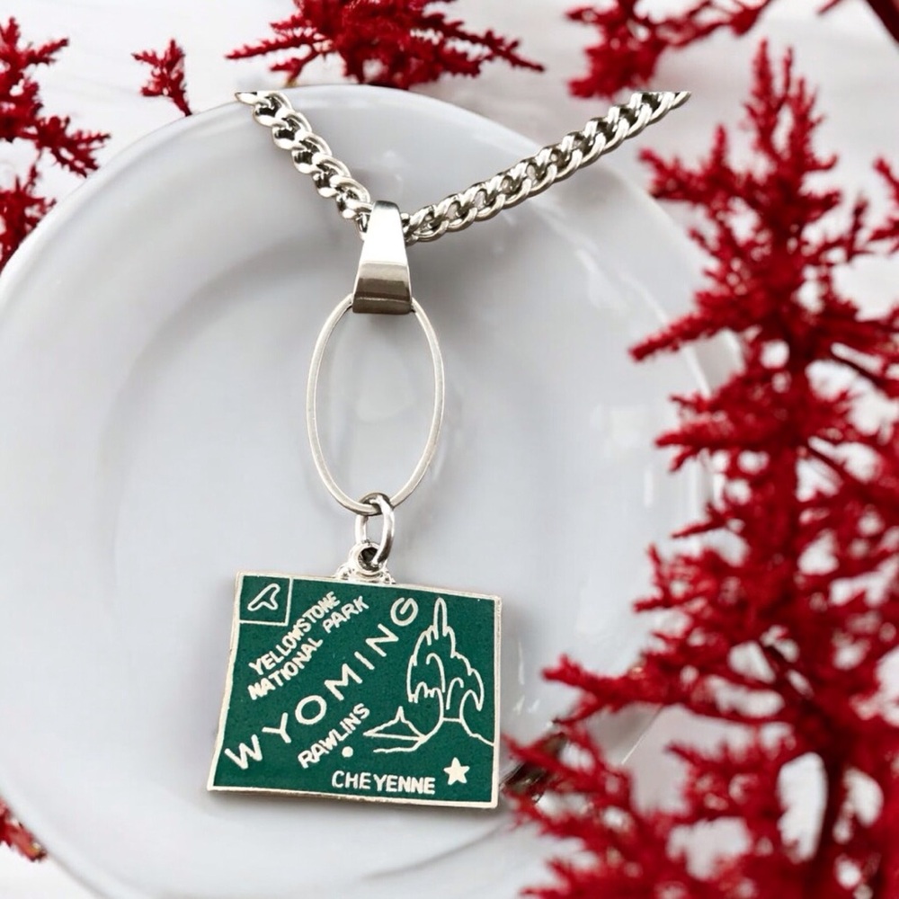 🆕 Wyoming Oval Drop Pendant Necklace Vintage Enamel/Stainless Steel
